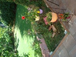 Imagen general del Hotel Villa Vice. Foto 4