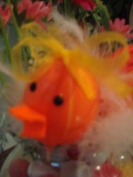 Imagen general del Hotel Villa Vice. Foto 12