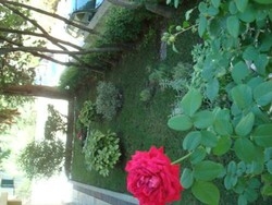 Imagen general del Hotel Villa Vice. Foto 15