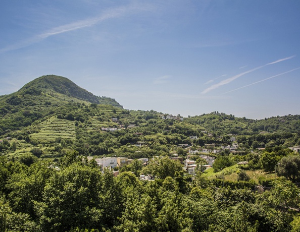 Imagen de los exteriores del Hotel Villa Vincenzo Di Meglio. Foto 8