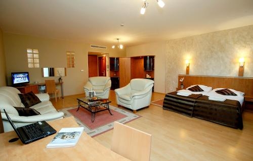 Imagen de la habitación del Hotel Villa V&ouml;lgy Wellness & Konferencia. Foto 7