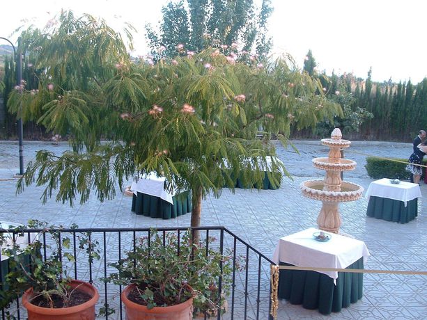 Imagen de los interiores del Hotel Villa de Gor, Gor. Foto 19