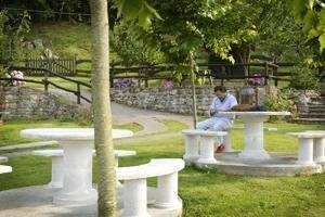 Imagen general del Hotel Villa de Mestas. Foto 13