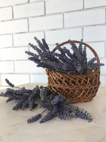 Imagen de los interiores del Hotel VillaPetra. Foto 19