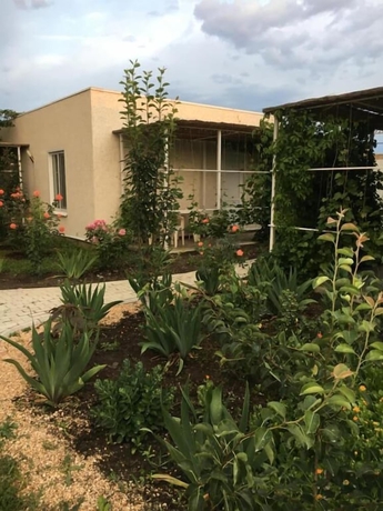 Imagen de los exteriores del Hotel VillaPetra. Foto 17