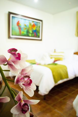 Imagen de la habitación del Hotel Villabosque Eco Boutique. Foto 7