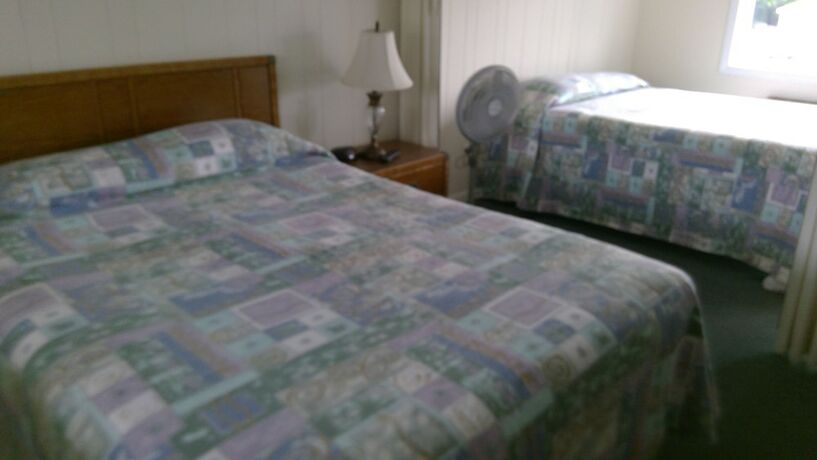 Imagen de la habitación del Hotel Village Green Motel. Foto 16