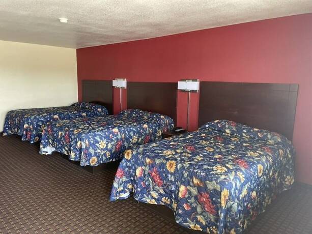 Imagen de la habitación del Hotel Village Inn, Ada. Foto 13