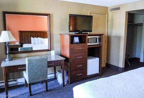 Imagen de la habitación del Hotel Village Inn Springfield. Foto 10