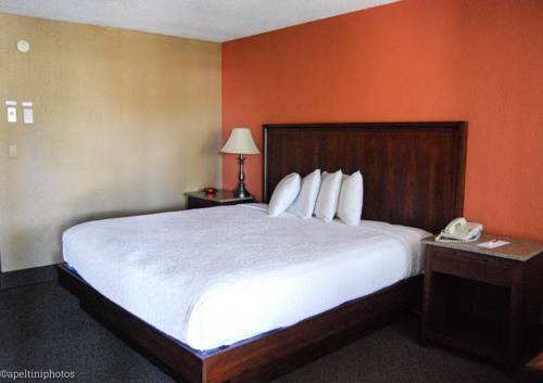 Imagen de la habitación del Hotel Village Inn Springfield. Foto 11