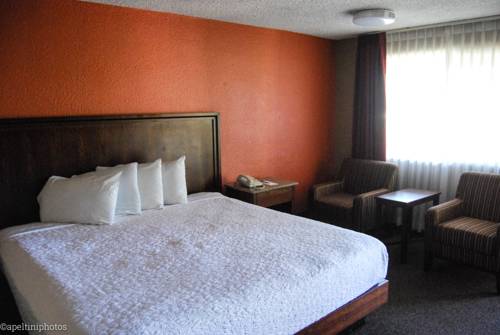 Imagen de la habitación del Hotel Village Inn Springfield. Foto 12