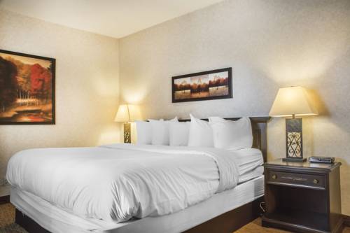 Imagen de la habitación del Hotel Village Inn & Suites. Foto 5