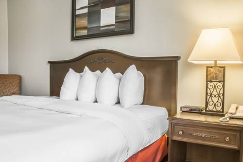 Imagen de la habitación del Hotel Village Inn & Suites. Foto 8