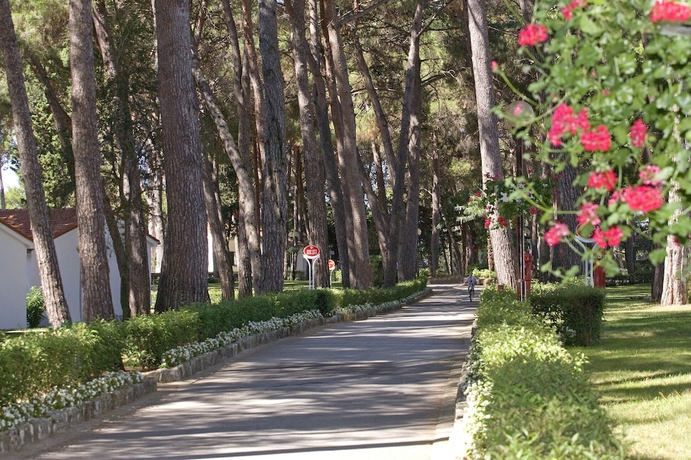 Imagen de los exteriores del Hotel Village Laguna Galijot. Foto 14