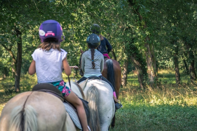 Imagen general del Hotel Village Vacances La Marti&egrave;re - Ol&eacute;ron. Foto 2