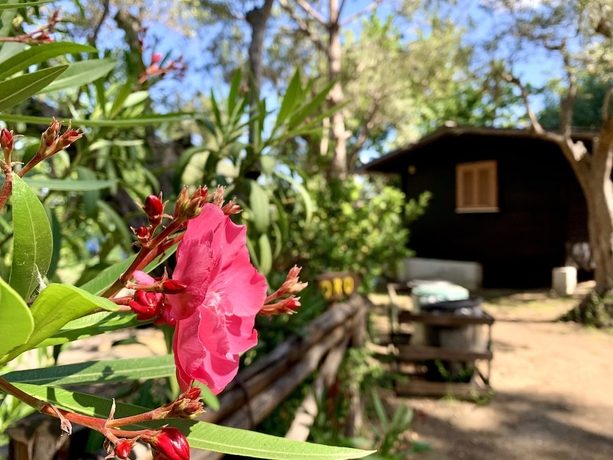 Imagen de la habitación del Hotel Villaggio Campeggio Santa Fortunata Campogaio. Foto 14
