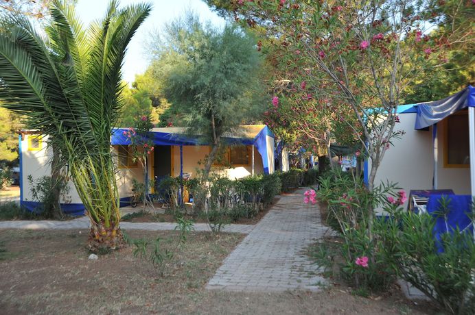 Imagen de la habitación del Hotel Villaggio Capo Vieste Camping. Foto 12