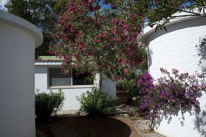 Imagen de la habitación del Hotel Villaggio Capo Vieste Camping. Foto 15