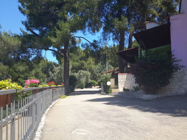 Imagen de la piscina del Hotel Villaggio Elisena. Foto 5