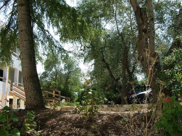 Imagen de los exteriores del Hotel Villaggio Gallo. Foto 14