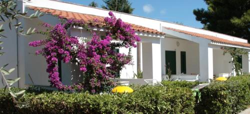Imagen general del Hotel Villaggio Turistico Residence Delfino. Foto 4