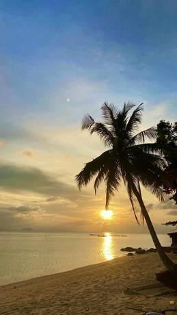 Imagen general del Hotel Villamas Perhentian Resort. Foto 12