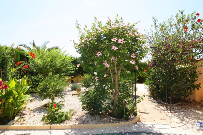 Imagen de los exteriores del Hotel Villas Costa Calpe - Elena. Foto 8