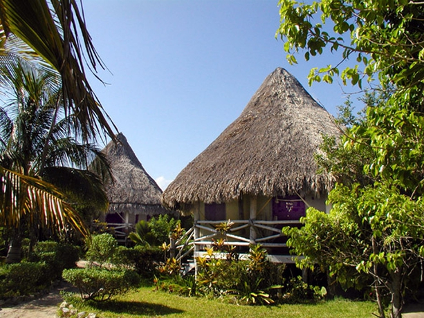 Imagen de los exteriores del Hotel Villas Delfines. Foto 6