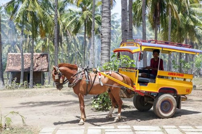 Imagen general del Hotel Villas Edenia, Gili Trawangan Island. Foto 13