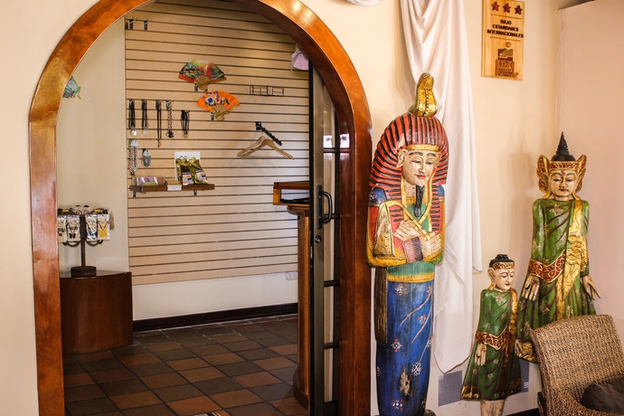 Imagen de los interiores del Hotel Villas Lirio. Foto 14