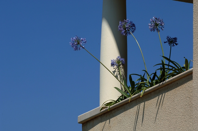 Imagen de los exteriores del Hotel Villas Plat. Foto 8