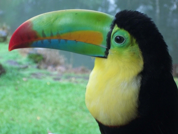 Imagen de los exteriores del Hotel Villas Rio Mar. Foto 12