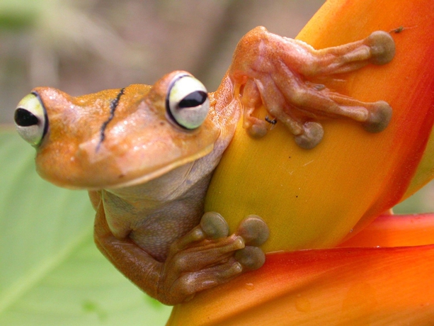 Imagen de los exteriores del Hotel Villas Rio Mar. Foto 13