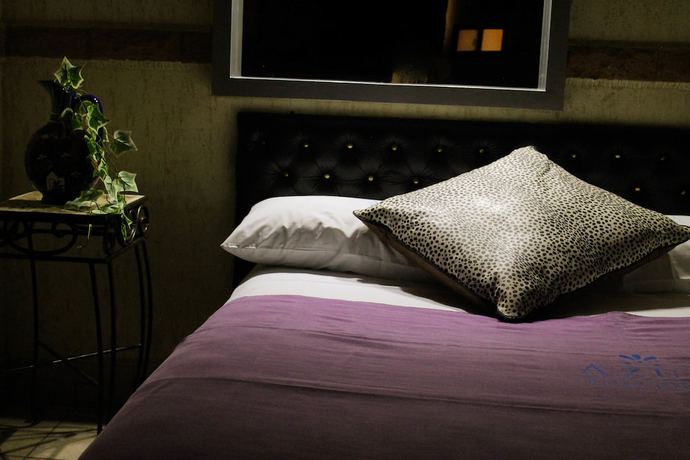 Imagen de la habitación del Hotel Villas y Suites Paraiso del Sur. Foto 10