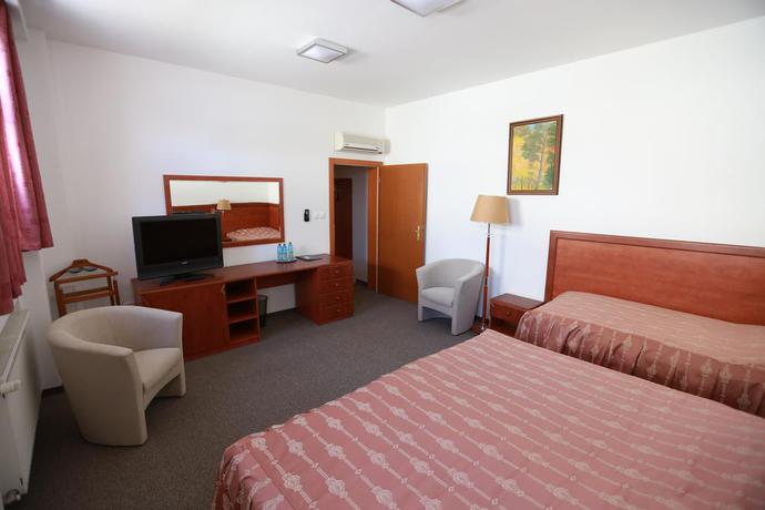 Imagen de la habitación del Hotel Vin&aacute;rsky Dom. Foto 6