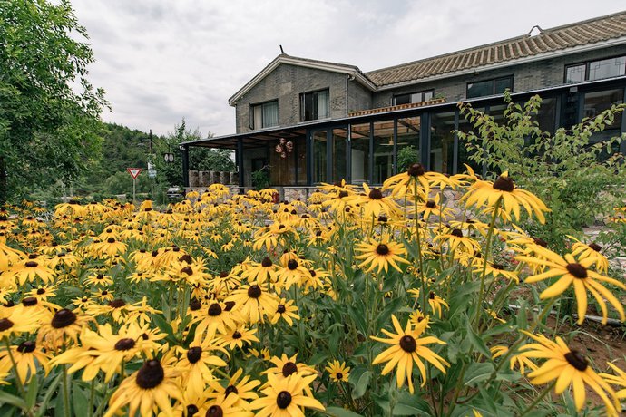 Imagen general del Hotel Vinawhisper Boutique. Foto 1