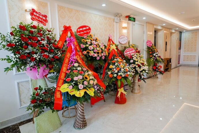 Imagen general del Hotel Vincent Halong. Foto 3