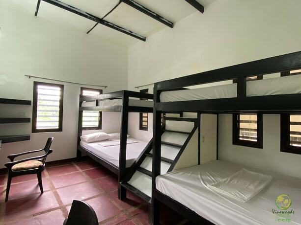 Imagen de la habitación del Hotel Vine Woods Resorts. Foto 31