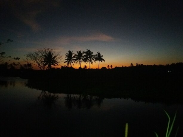 Imagen de la habitación del Hotel Vine Woods Resorts. Foto 33