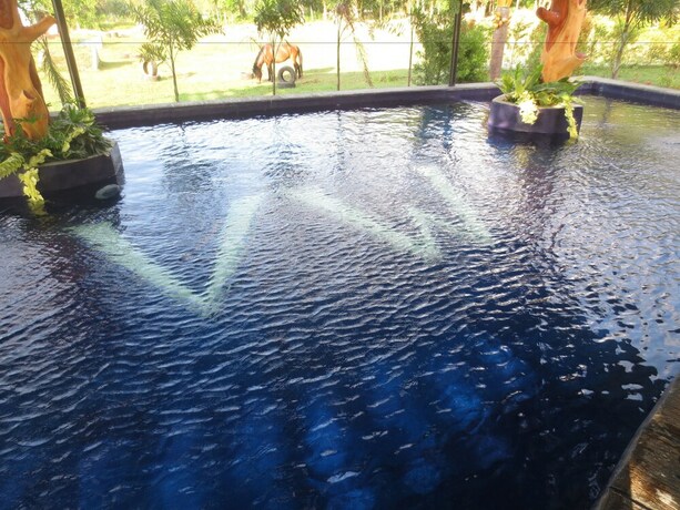 Imagen de la piscina del Hotel Vine Woods Resorts. Foto 40