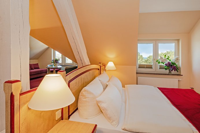 Imagen de la habitación del Hotel Vinetas. Foto 9