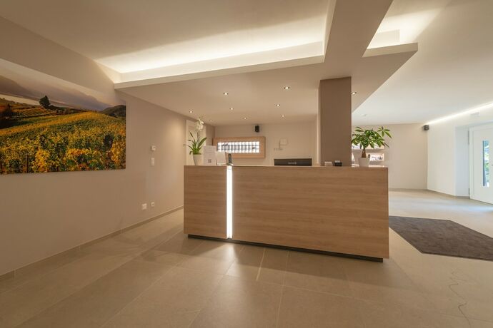 Imagen general del Hotel Vineus. Foto 1