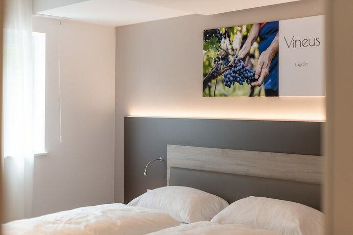 Imagen de la habitación del Hotel Vineus. Foto 14