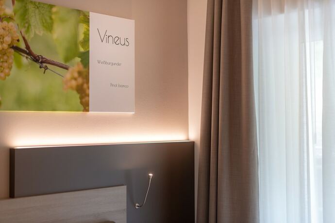 Imagen general del Hotel Vineus. Foto 5