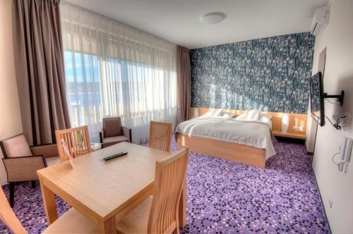 Imagen de la habitación del Hotel Vinice Hnanice. Foto 5