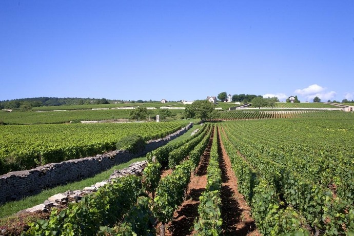 Imagen general del Hotel Vinihôtel. Foto 6