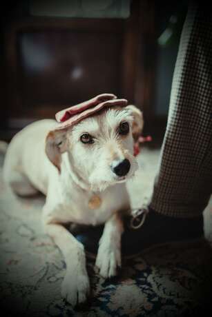 Imagen general del Hotel Vinnhaus. Foto 11