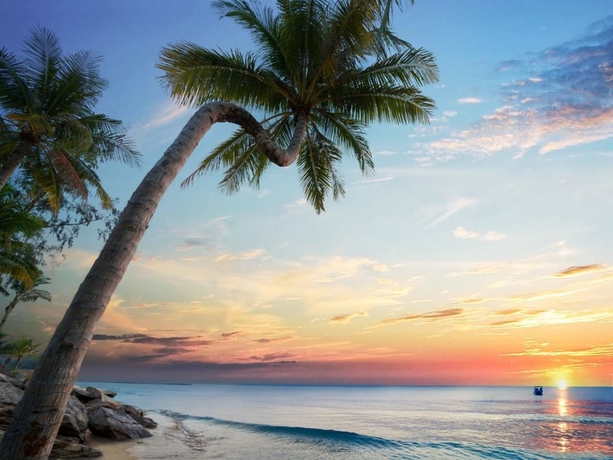 Imagen de los exteriores del Hotel Vinoasis Phu Quoc. Foto 11