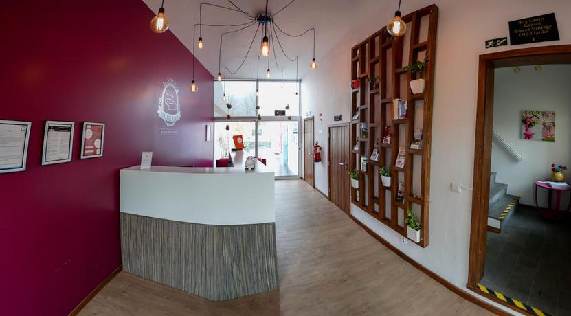 Imagen de los interiores del Hotel Vintage Place - Azorean Guest House. Foto 16