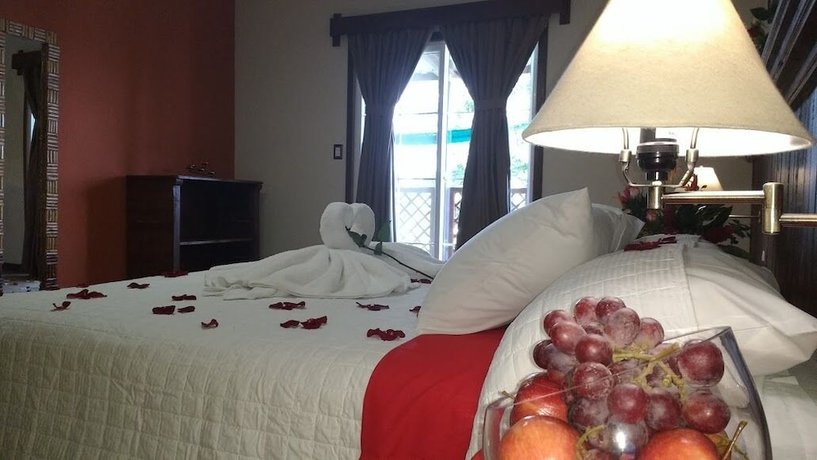 Imagen de la habitación del Hotel Vi&ntilde;as del Lago. Foto 11